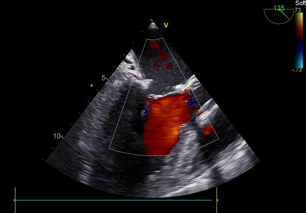 圖片2.jpg 圖片2.jpg