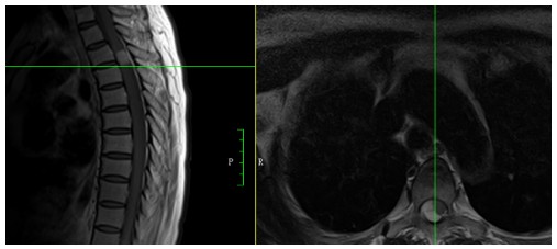 Snipaste_2024-06-18_08-05-06.jpg Snipaste_2024-06-18_08-05-06.jpg