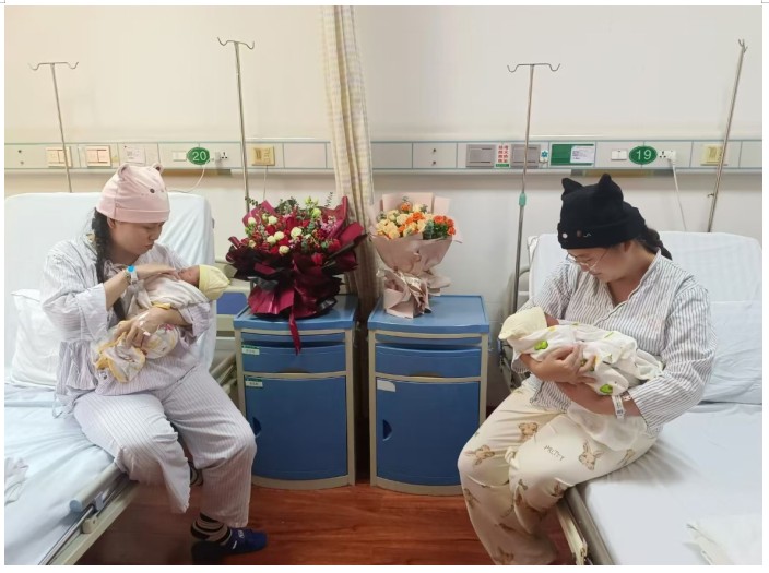 Snipaste_2024-10-15_08-34-23.jpg Snipaste_2024-10-15_08-34-23.jpg